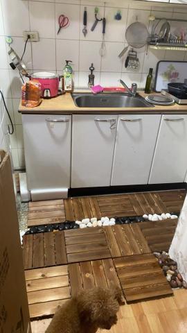 Summer妤潔 - 煮鮮食給毛孩吃