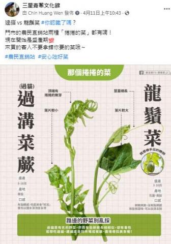 樂維活策略行銷 -  樂維活策略行銷 -