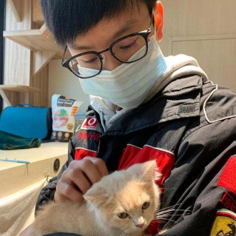 提供數學老師服務的專家黃元亨