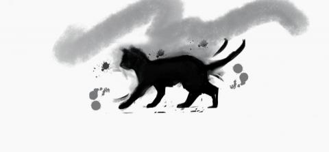 提供建漢服務的專家張晉漢