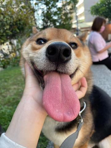 王婕 - 在藍曬圖的查克拉寶寶