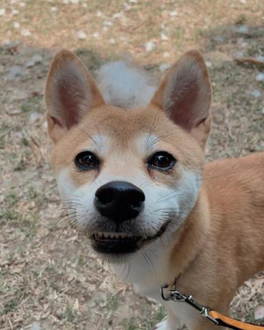 王婕 - 在水交社園區的螺旋丸寶寶