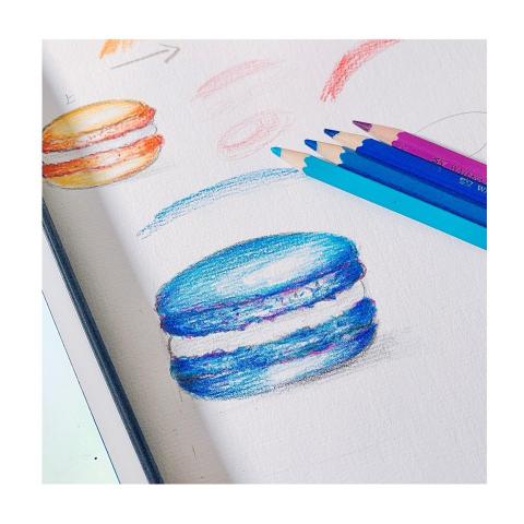 Tr.Apple Art -  Tr.Apple Art -