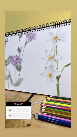 個人工作室 - 作品集_色鉛筆