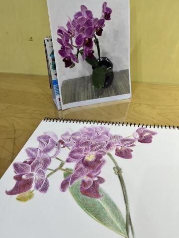 個人工作室 - 作品集_色鉛筆