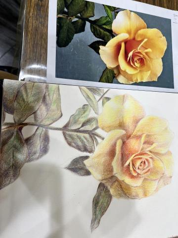 個人工作室 - 作品集_色鉛筆