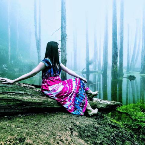 提供阿里山賓館一泊二食服務的專家那隻貓 that cat