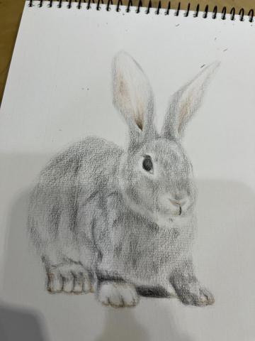 個人工作室 - 作品集_色鉛筆