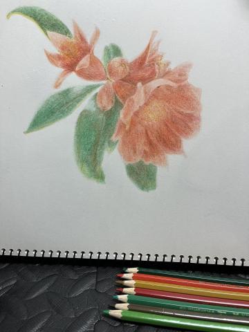 個人工作室 - 作品集_色鉛筆