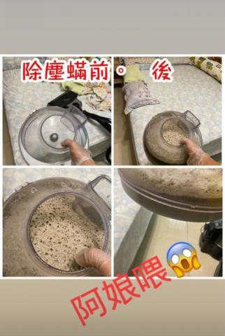 滅蟎王專業到府清潔除塵蟎 - 