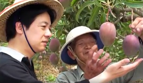 九采文創 - 台南芒果推廣廣告