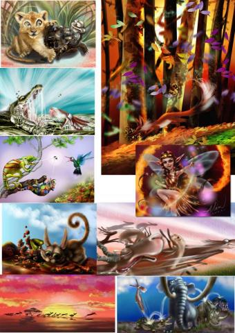 Alam Lin - 童書繪本風格