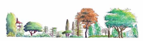 木已成舟  專業工作人 - 手繪+上色 木已成舟  專業工作人 - 手繪+上色