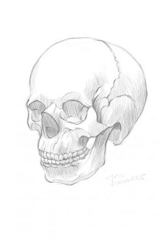 胡益彰 Jess Hu - 2022素描作品 骷髏