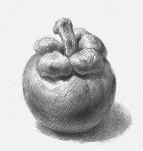 胡益彰 Jess Hu - 2022素描作品 水果