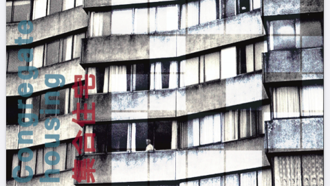 木已成舟  專業工作人 - 平面設計 木已成舟  專業工作人 - 平面設計