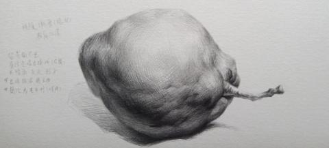 胡益彰 Jess Hu - 2022素描作品 水果