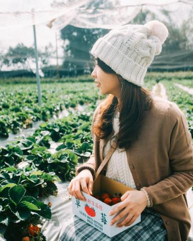 潘稚 - 人像寫真

IG搜尋: zivpan1990