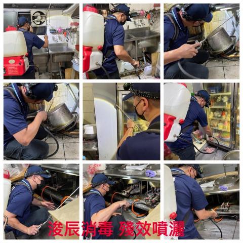 浚辰消毒（丁先生） - 蟑螂防治