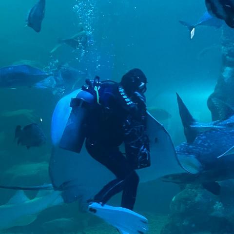 提供住宿服務的專家Hung