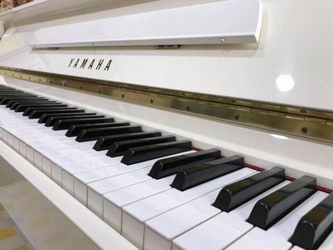 Penny老師音樂工作室🎵提供到府 -  Penny老師音樂工作室🎵提供到府 -