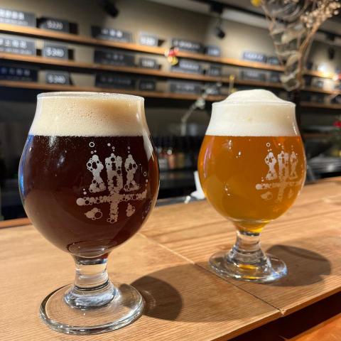 提供遛狗服務的專家高芳郁