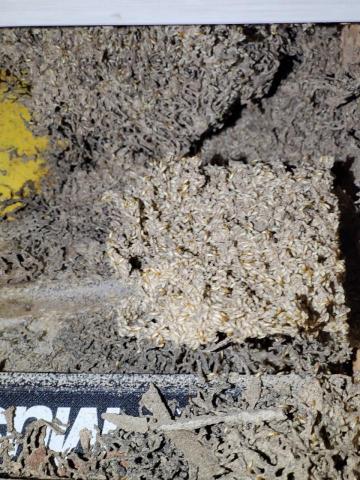 Ho消毒有限公司 - 