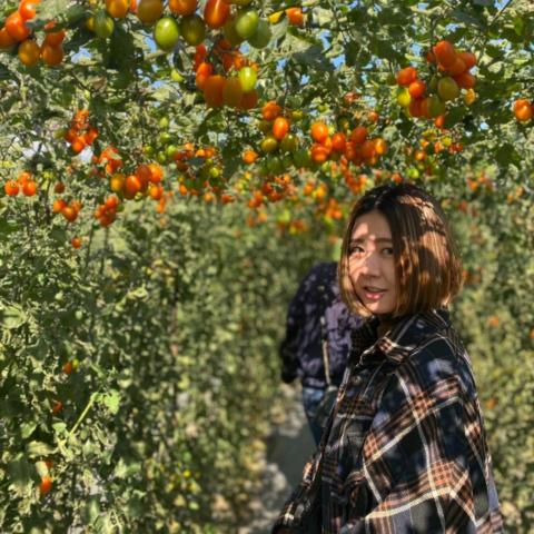 提供帆布服務的專家劉茹