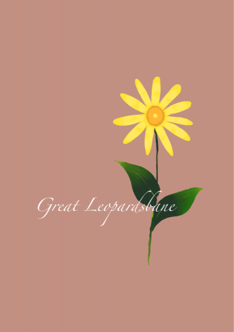 黃琪容 -  黃琪容 -