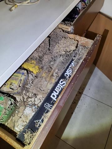 Ho消毒有限公司 - 