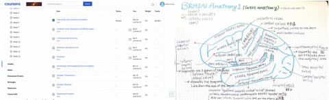 Vivian Chang - 在courseera上Duke University全英文課程