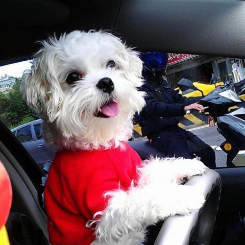 提供打字服務的專家Xuan Di