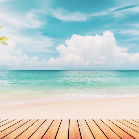 提供edm製作方法服務的專家張嘉思