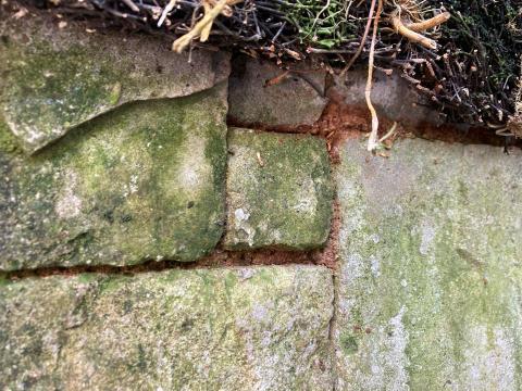 頂頂企業有限公司 - 白蟻施工現場。客戶贈送區域。