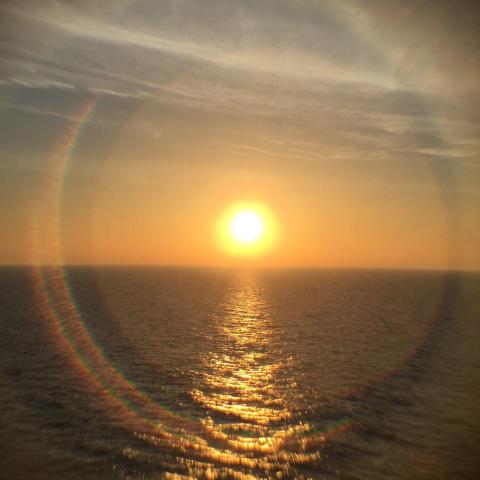 花的瑜珈/ 保羅 - 光明遍照