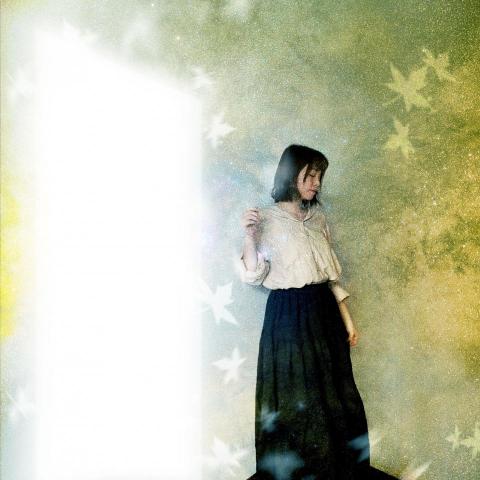 提供看板baseball服務的專家Lily