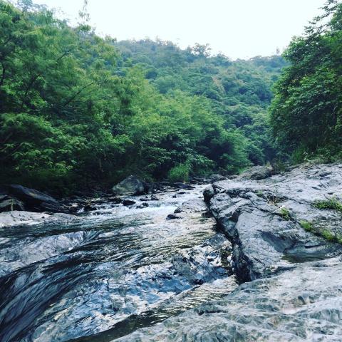 花的瑜珈/ 保羅 - 溪水瑜伽