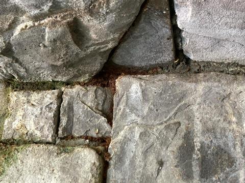 頂頂企業有限公司 - 白蟻施工現場。客戶贈送區域。