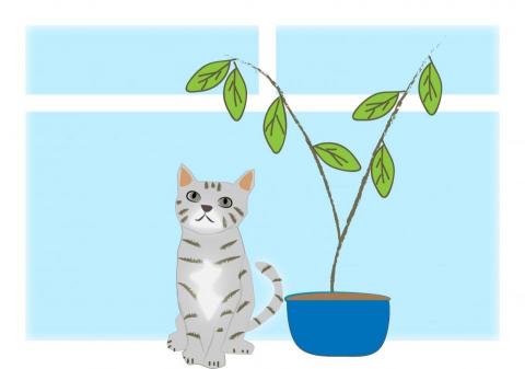 讀心娃娃繪畫工作室 -  讀心娃娃繪畫工作室 -