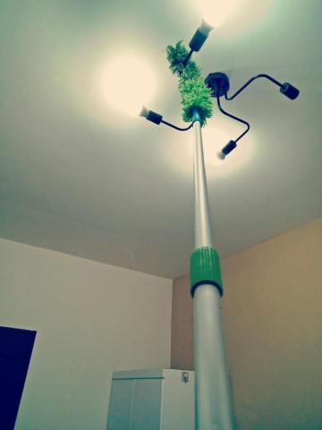 ☺️ - 搆不到的燈架， 用除塵毯長桿子除塵