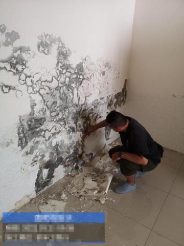 家承工程行 - 壁癌處理