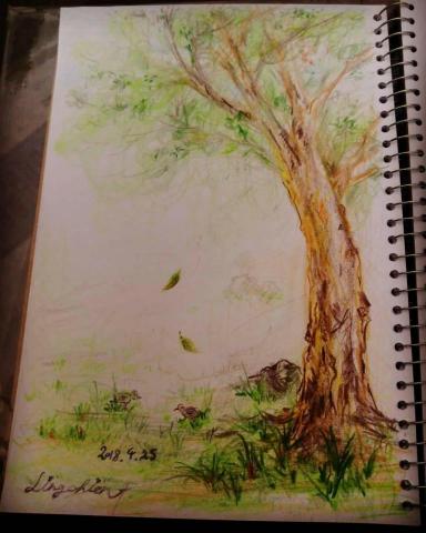 Erica - 手繪-色鉛筆   樹