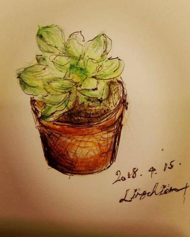 Erica - 手繪-色鉛筆 多肉植物