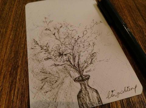 Erica - 手繪-速寫  花