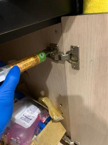 速立淨專業除蟲 - 酒吧蟑螂防治