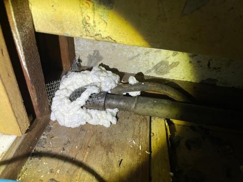 速立淨專業除蟲 - 鼠患防治封堵