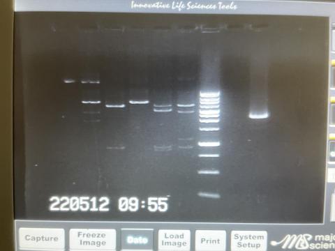 許子然 - 實驗課的照片（可以不看）