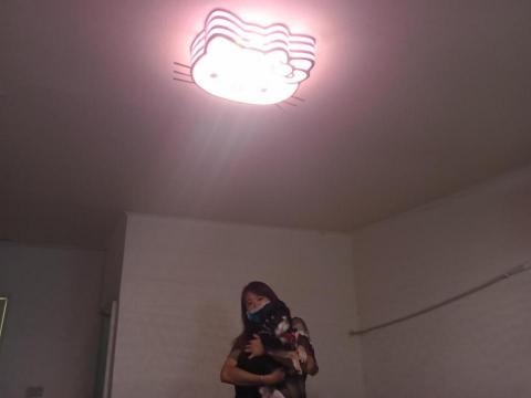晨創手機維修燈光設計/手機改裝維修工作室 - kitty貓三色變光吸頂燈,這是我前身帳號裝的本來業主不挑燈款結果我把我車上所有燈搬下讓她選,無意間夾帶到凱蒂貓燈客訂的,還好跟客戶約定的時間還沒讓到,所以就先讓給這位妹子囉 晨創手機維修燈光設計/手機改裝維修工作室 - kitty貓三色變光吸頂燈,這是我前身帳號裝的本來業主不挑燈款結果我把我車上所有燈搬下讓她選,無意間夾帶到凱蒂貓燈客訂的,還好跟客戶約定的時間還沒讓到,所以就先讓給這位妹子囉