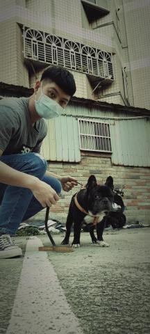 guanjie - 我家的狗