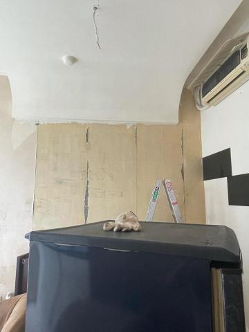 黃伊芸 - 撕壁紙